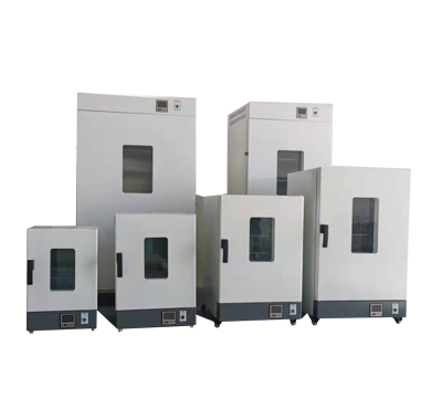 上海冉繪電熱恒溫鼓風干燥箱DHG-9070A